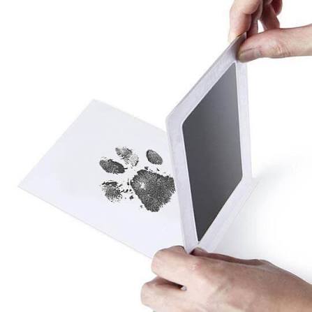 Paw Print Keepsake Kit